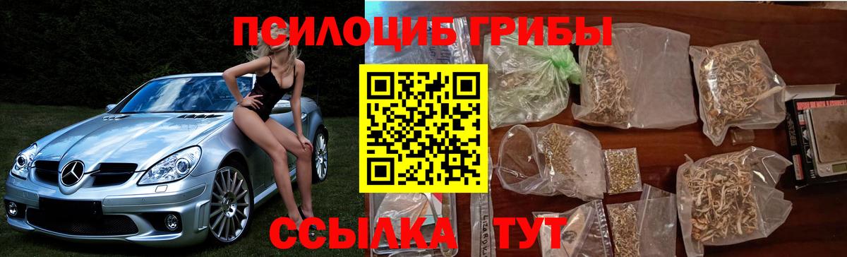 Псилоцибиновые грибы мухоморы Искитим